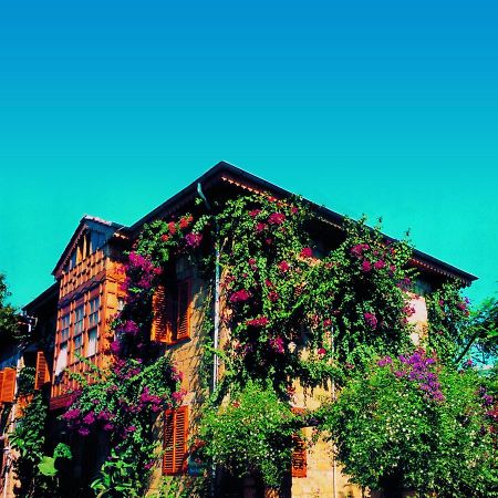 Begonville Pansiyon Side Exterior foto
